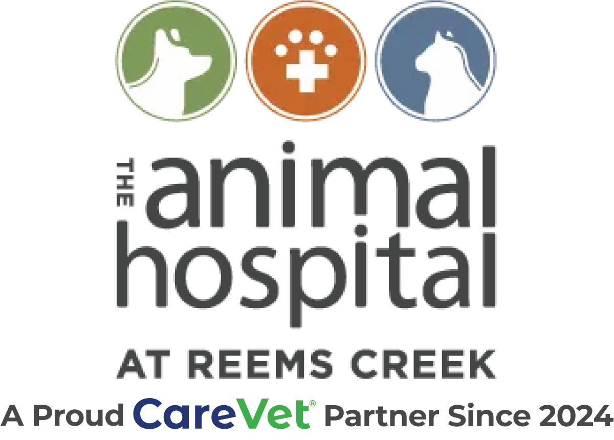 The Animal Hospital at Reems Creek Logo